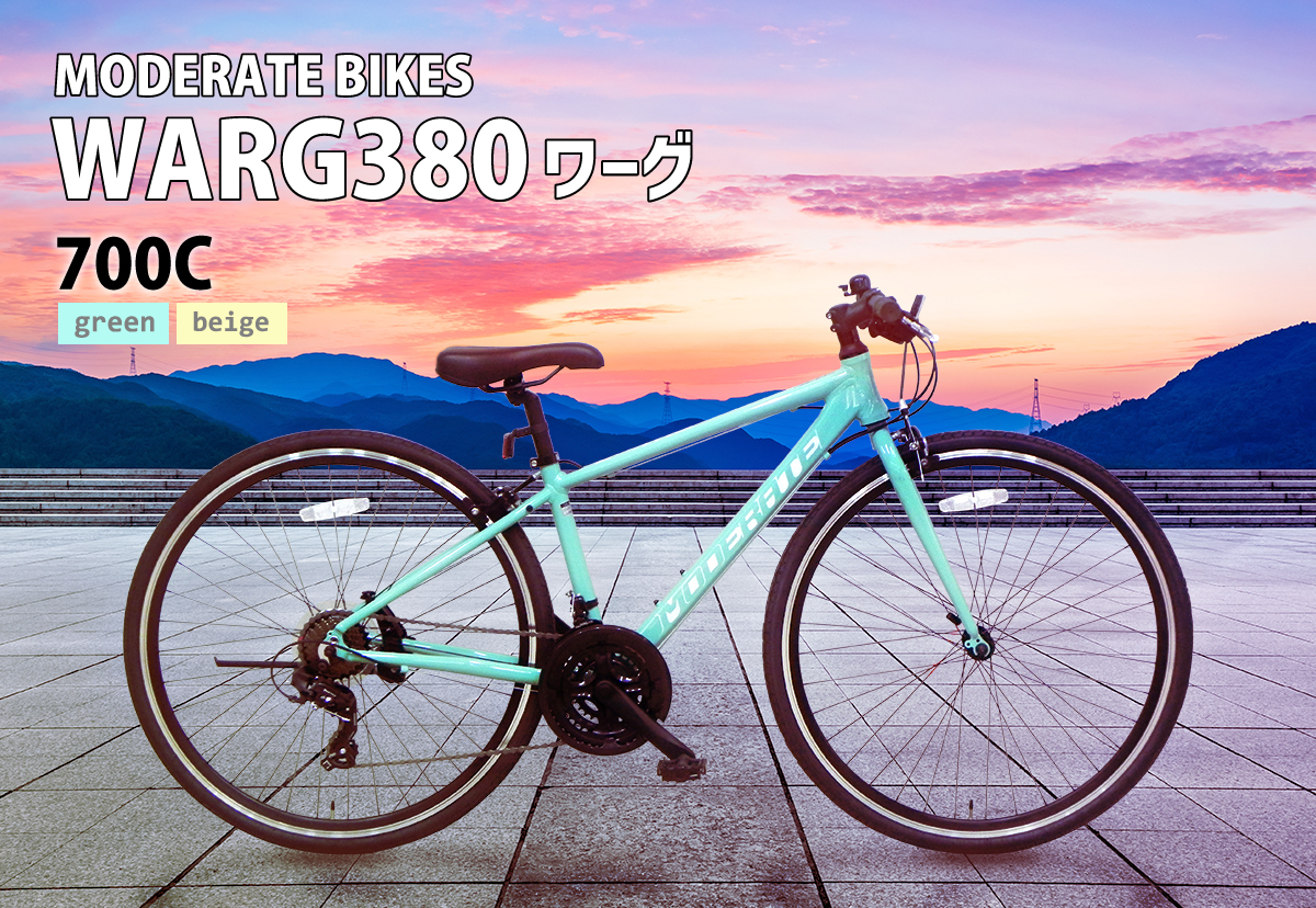 00C外装21段変速 MODERATEBIKES WARG380